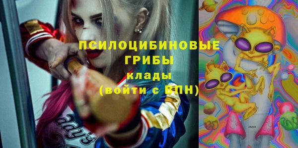 не бодяженный Гусиноозёрск