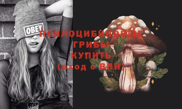 2c-b Гусь-Хрустальный