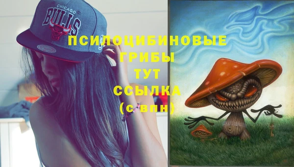 мяу мяу кристалл Горно-Алтайск