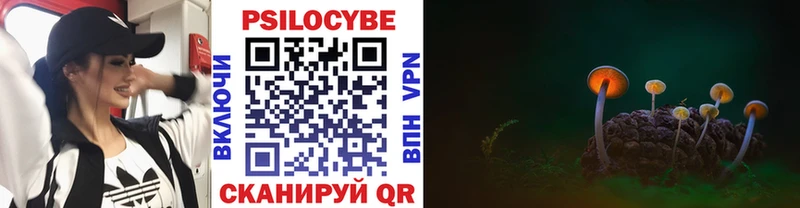 Псилоцибиновые грибы GOLDEN TEACHER  Чухлома 